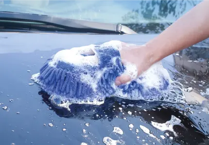 Car Wash Sponge